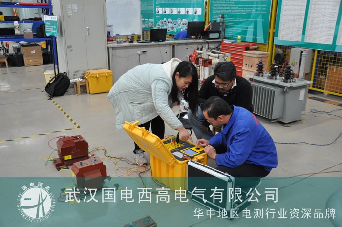 马来西亚客户到访国电西高