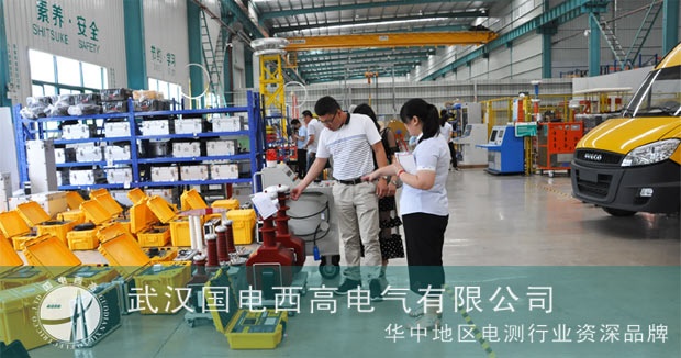 国电西高喜迎伊朗客户的到访