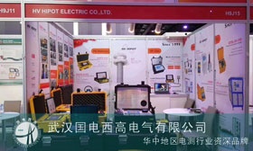 疫情阻止不了国电西高站上国际舞台