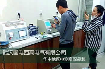 国电西高前往广西河池提供调试服务