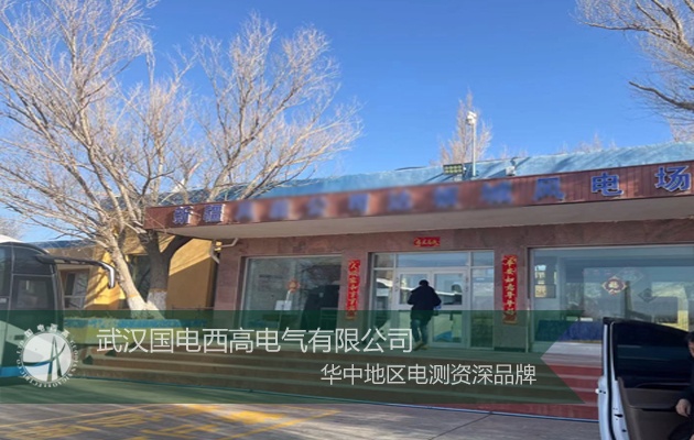 国电西高为新疆客户提供安装调试服务