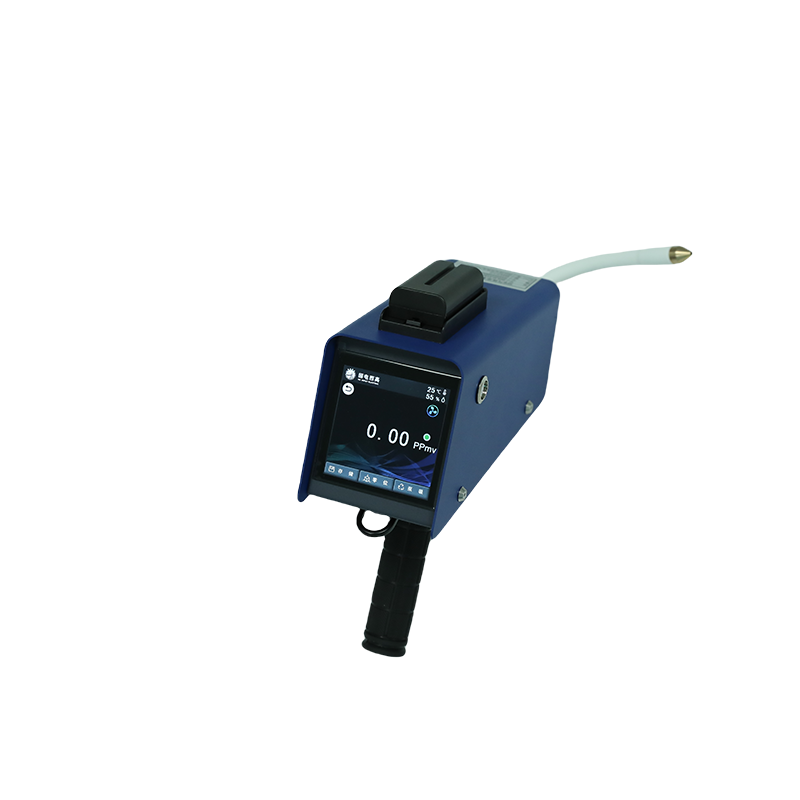 GDLD-313IRSF6气体定量检漏仪