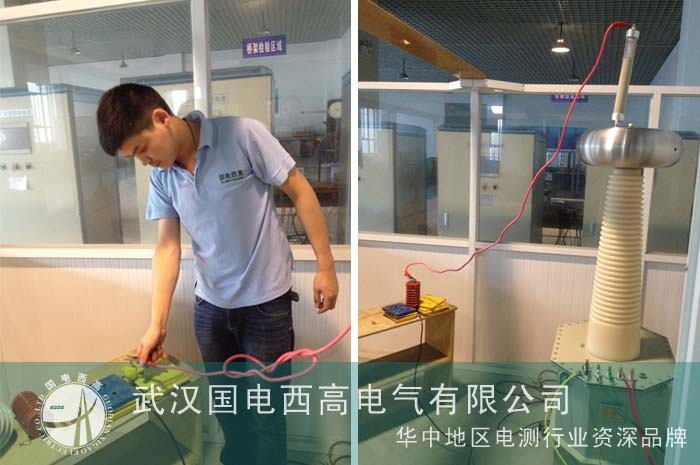 扬中质检所邀国电西高调试设备
