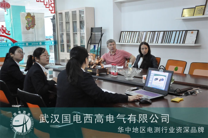 俄罗斯客户到武汉国电西高考察一批设备