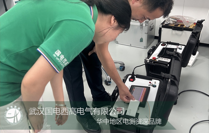 聚焦国际市场 国电西高检测设备顺利完成出口发货