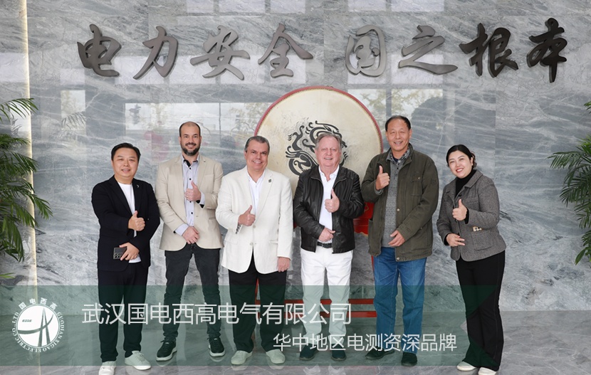 以实力为基，以诚意为桥：国电西高喜迎国际核心客户深度探访