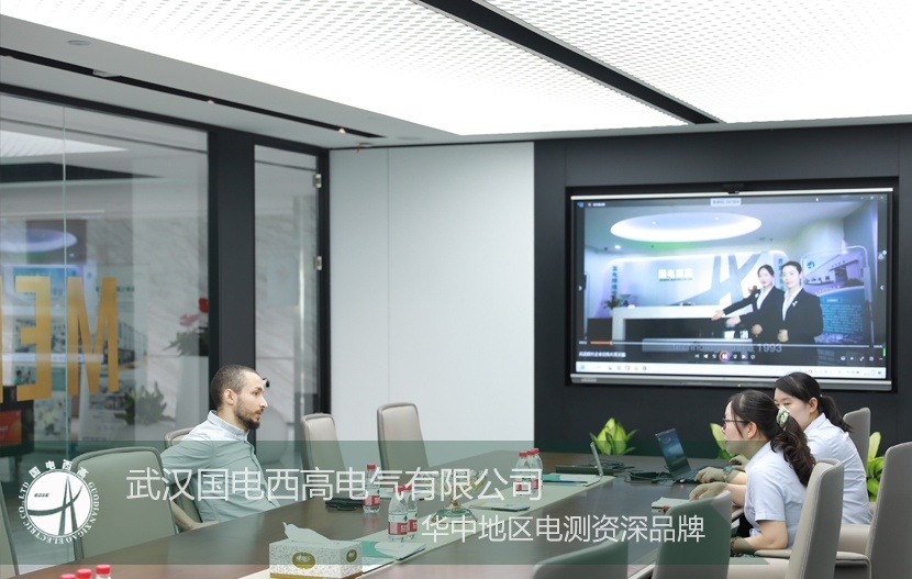 变压器测试台与无局放装置成焦点，埃及客户来访国电西高